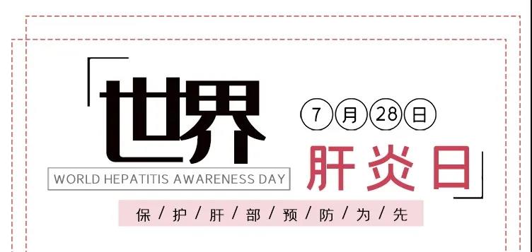 世界肝炎日——積極預(yù)防，主動檢測，規(guī)范治療，全面遏制肝炎危害！